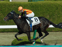 ５Ｒ　新馬戦　ムスカテール