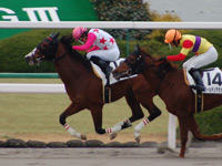 京都2R　未勝利戦　ダイシンワイルド