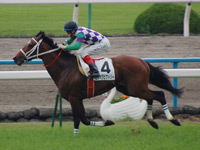 京都4R　未勝利戦　ヒラボクビクトリー