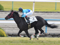 京都5R　新馬戦　ディープサウス