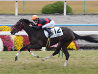 京都7R　新馬戦　ノーブルコロネット