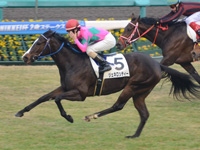 阪神3R　未勝利戦　ジェネロシティー