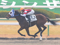 京都3R　未勝利　ウイングリート