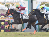 京都6R 新馬戦　ネオヴィクトリア