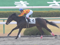 京都2R　未勝利　ミヤジマッキー