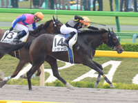 東京1R　未勝利（牝）　リヴァロ