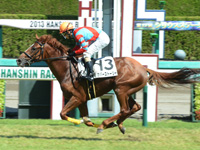 阪神3R　未勝利　カバーストーリー