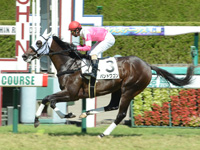 阪神5R　新馬　バンドワゴン