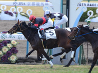 京都5R　未勝利（牝）　シードオブハピネス