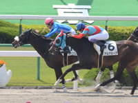 京都1R　未勝利（牝）　ララエクレリゼ