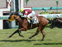 阪神2R　未勝利戦　ウインソワレ