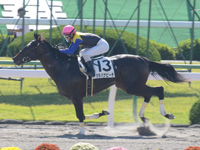 京都1R　未勝利　カラパナビーチ