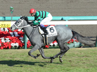 阪神3R　未勝利　マキシマムドパリ