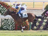 京都6R　新馬　キロハナ