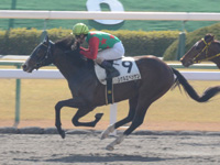 京都2R　未勝利　シゲルエベッサン