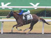 京都1R　未勝利　ヤマノルミナス