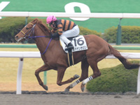 京都3R　未勝利　キタサンサジン