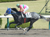 阪神1R　未勝利　テイエムジンソク