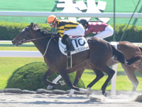 京都3R　新馬　シンゼンスタチュー