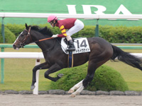 京都1R 未勝利　ドライヴナイト