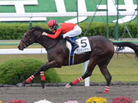 京都2R　未勝利　ロンドンタウン