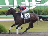 京都4R　未勝利　ロジクライ