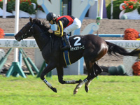 京都9R　黄菊賞（500万）　バティスティーニ