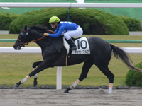 京都2R　未勝利　タイセイブルグ