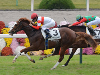 京都4R　未勝利　ダノンサンシャイン