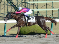 阪神2R　未勝利　トニーブロンディ