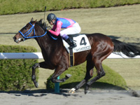 阪神3R　未勝利　メイショウミラコロ