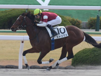 京都4R　新馬　ストリクス