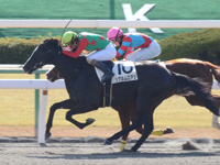 京都2R　未勝利　シゲルムロアジ