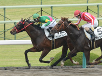 阪神3R　未勝利　タガノインペーロ