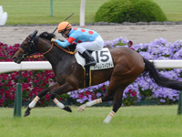 京都4R　未勝利　タイムレスメロディ