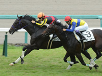 阪神5R　新馬　ムーヴザワールド