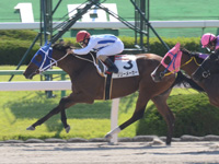 京都2R　未勝利　リリーメーカー