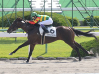 京都4R　新馬　トウケイライデン