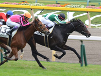 東京1R　未勝利　ラユロット