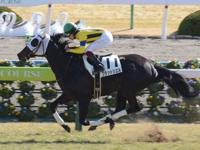 京都6R　未勝利　グラットシエル