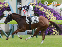 京都4R　未勝利　フナウタ