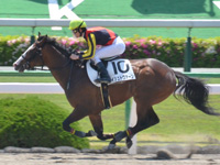 京都3R　未勝利　イシュトヴァーン