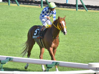 紫菊賞 （1勝クラス）　レース後