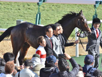 未勝利　口取り