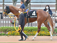 エリカ賞 （1勝クラス）　パドック