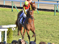 第76回 阪神ジュベナイルフィリーズ （G1）　レース後