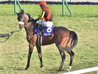 第76回 朝日杯フューチュリティＳ（ＧＩ）　本馬場入場