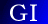 ＧＩ