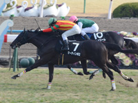 京都10R　飛鳥ステークス（1600万）