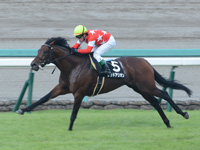 阪神10R　西宮ステークス（1600万）